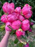 Peony Subscription