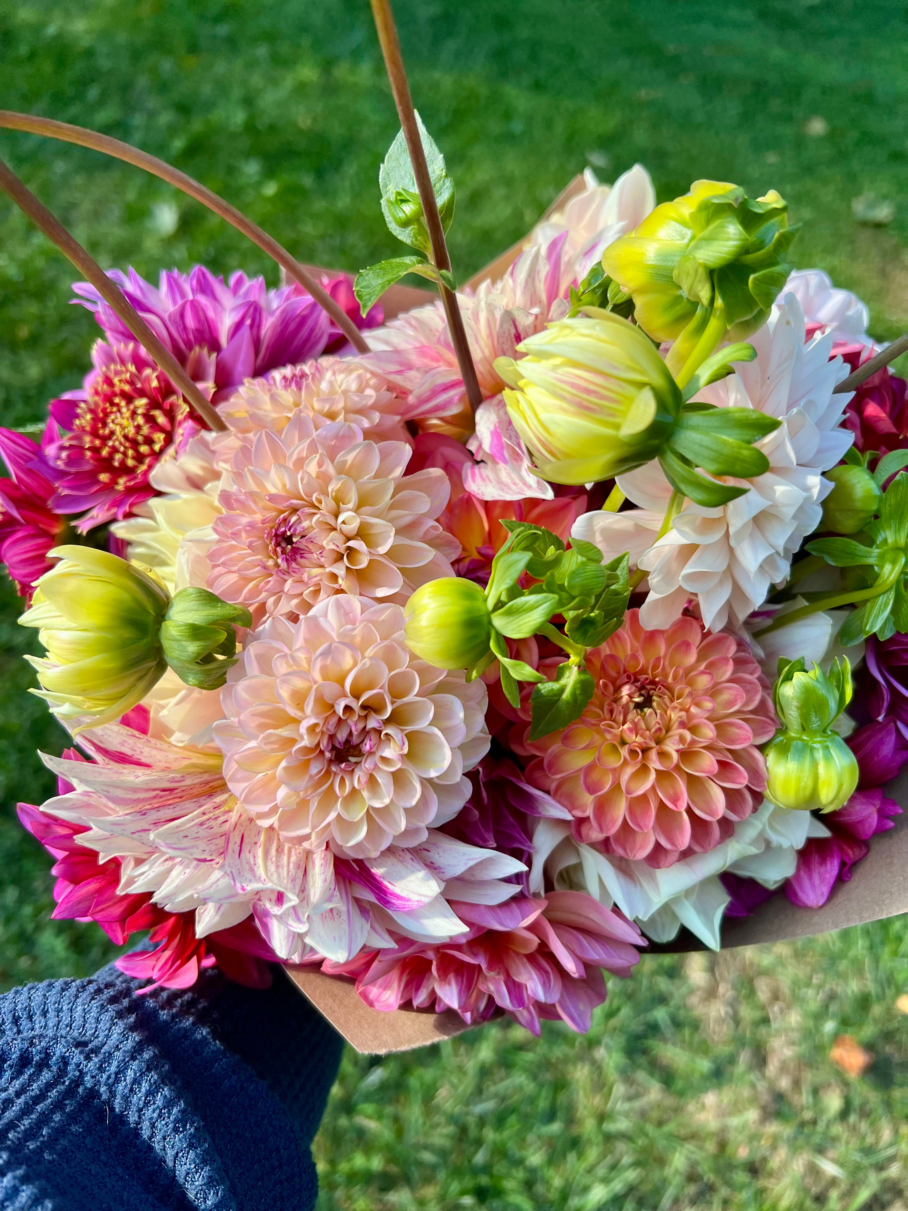 Three Season Subscription