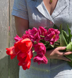 Spring Blooms Subscription  (5 Bouquets)