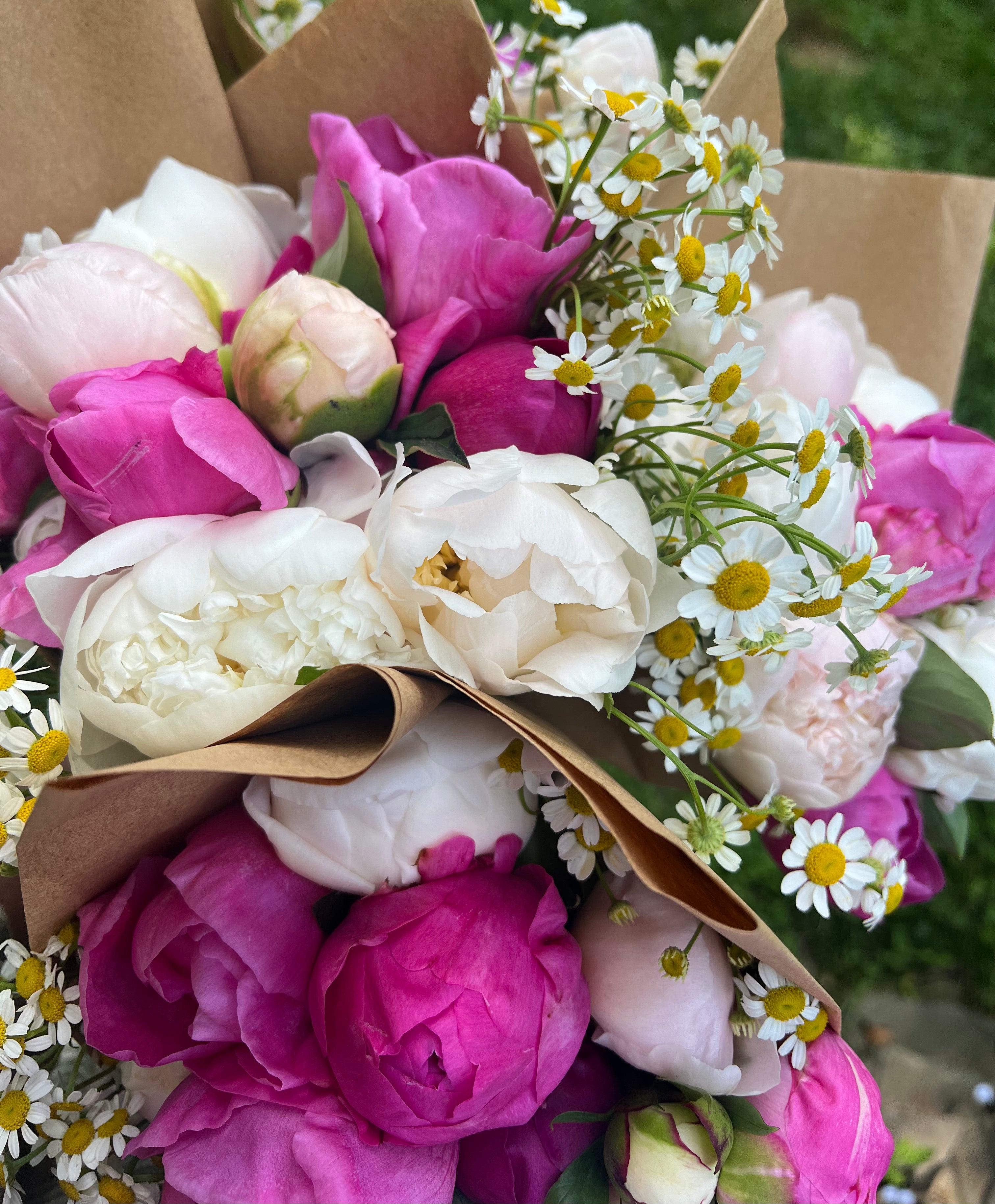 Three Season Subscription