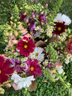 Three Season Subscription