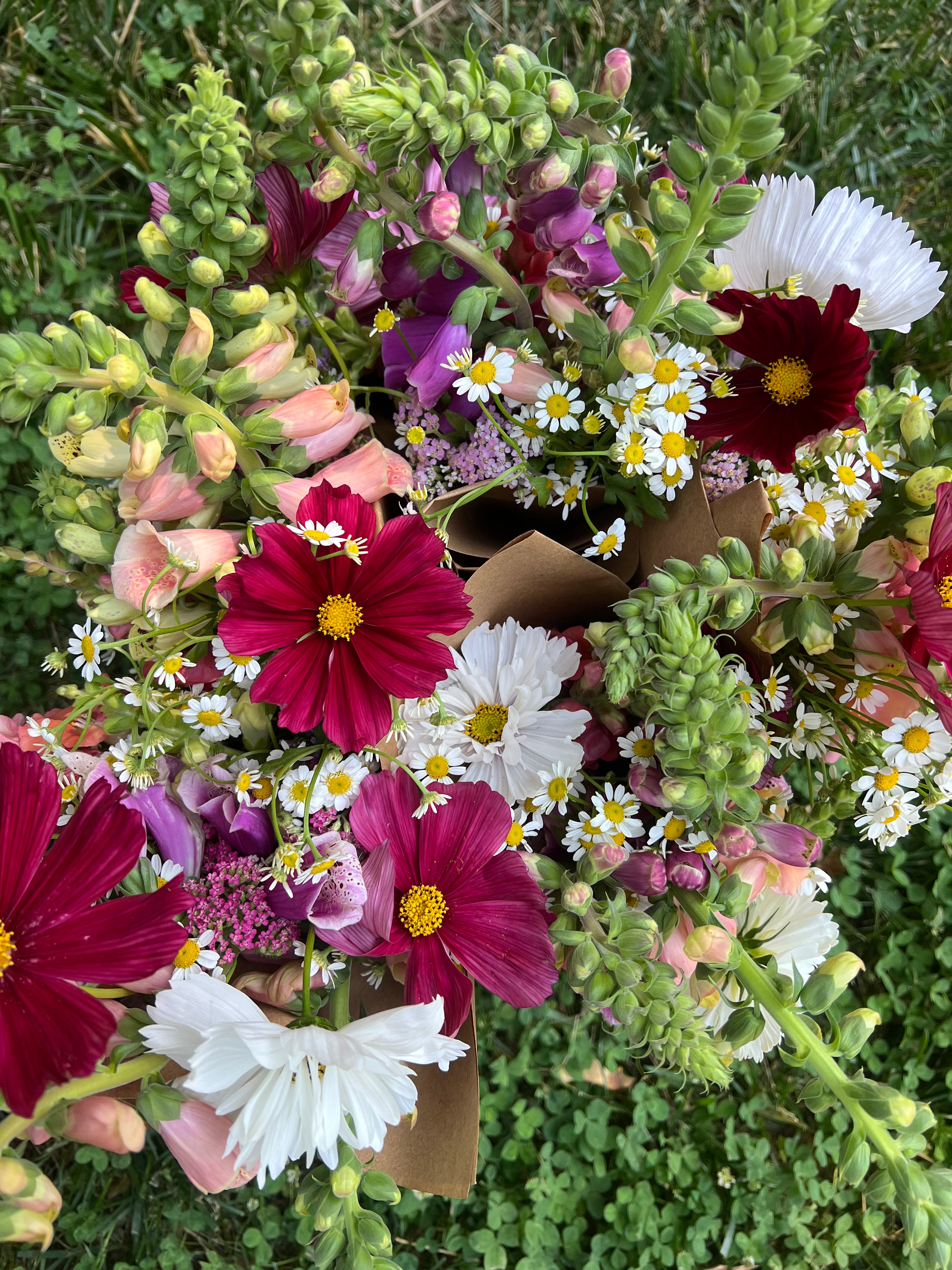 Three Season Subscription