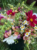 Three Season Subscription