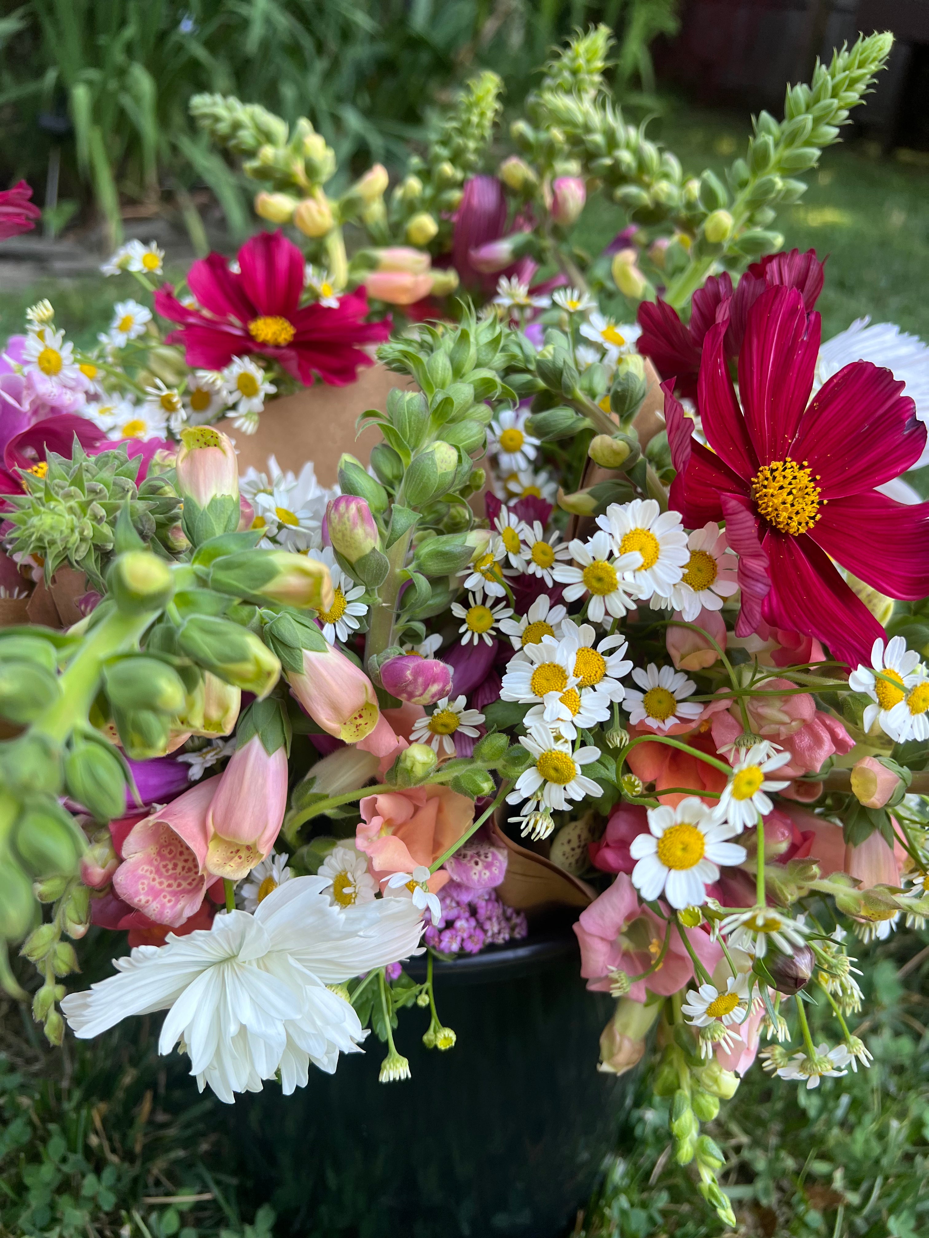 Three Season Subscription