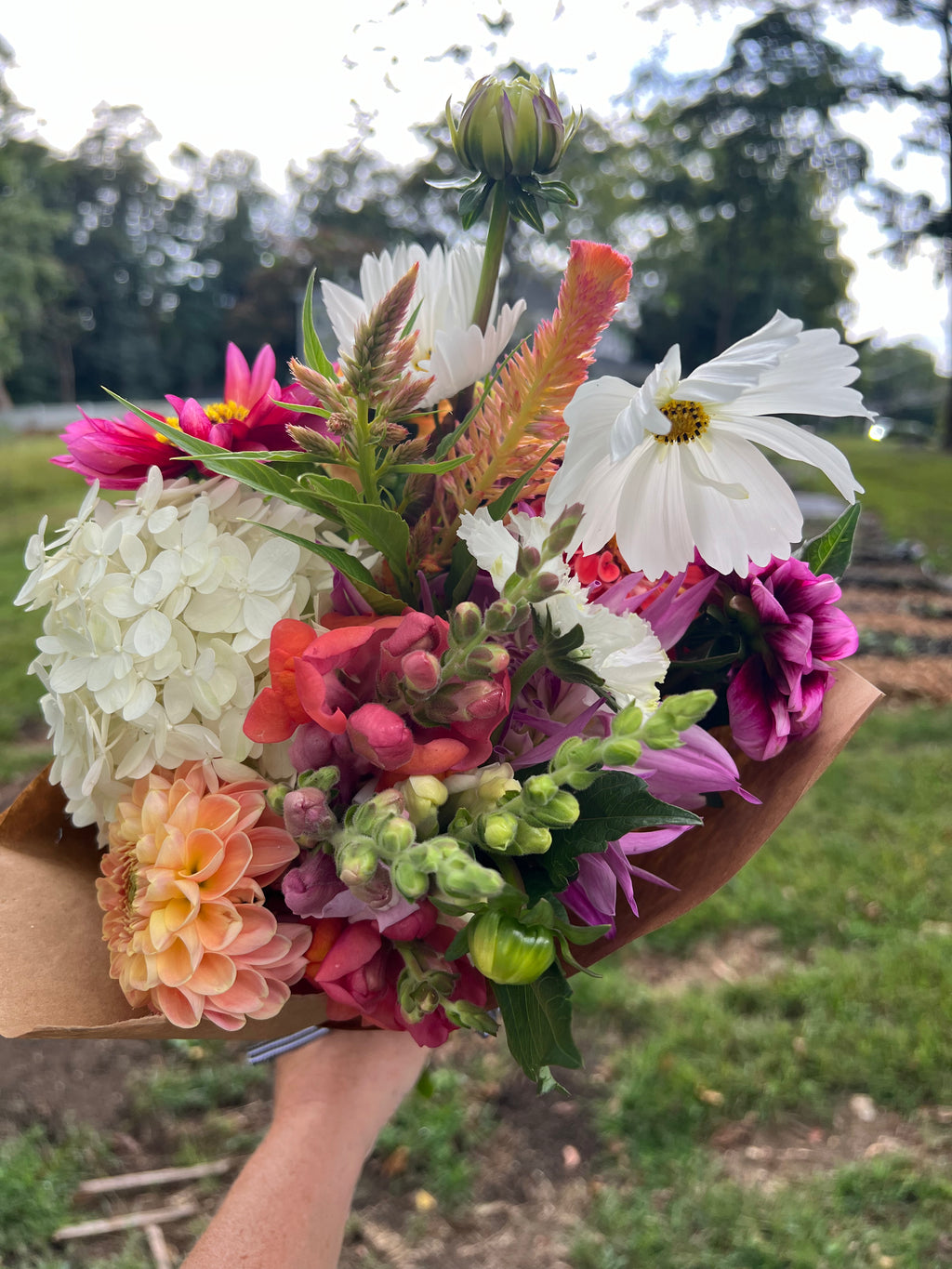Summer Mixed Bouquet Subscription  (5 Bouquets)