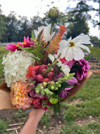 Summer Mixed Bouquet Subscription  (5 Bouquets)