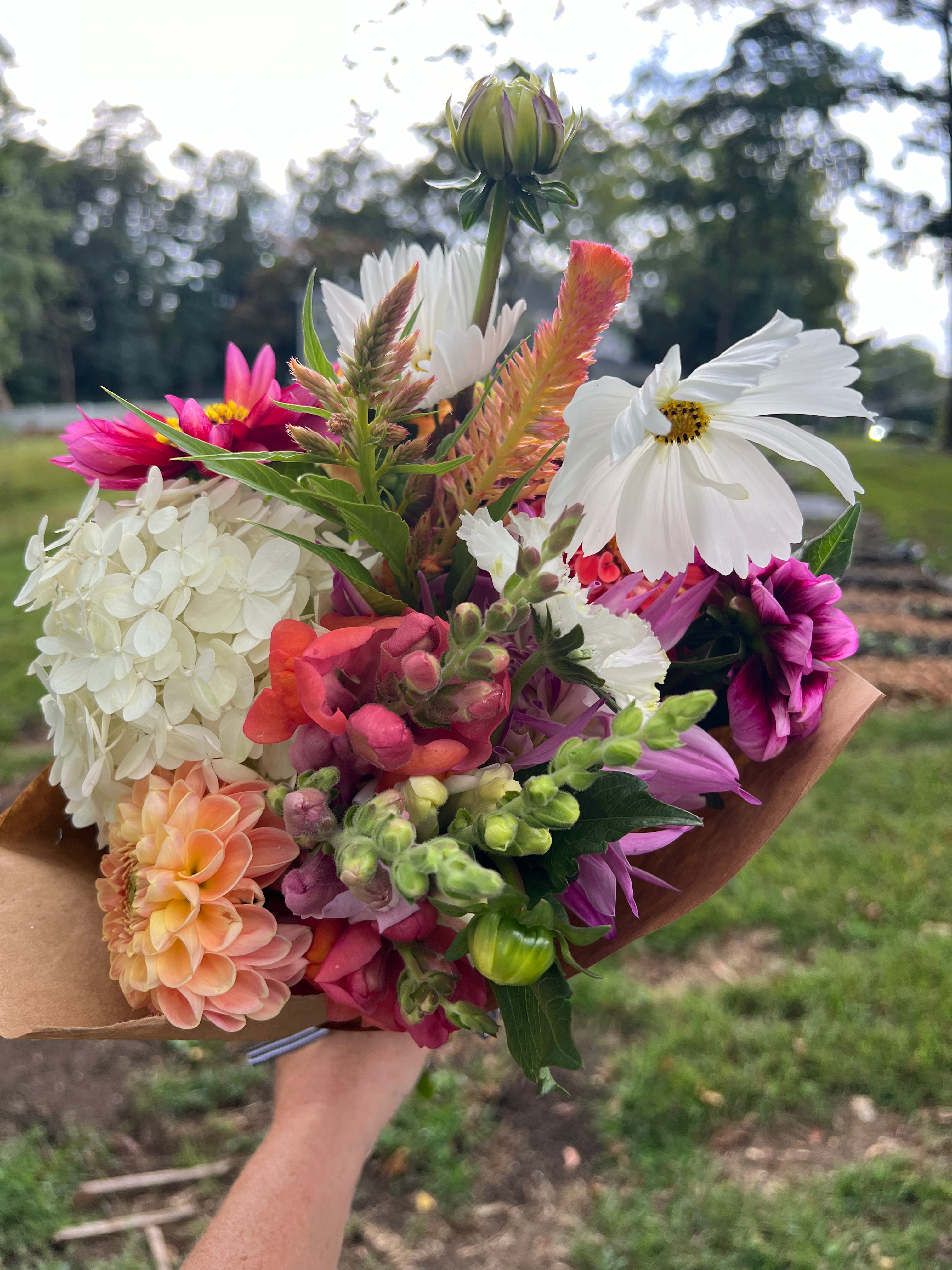 Summer Mixed Bouquet Subscription  (5 Bouquets)