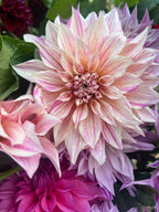 Three Season Subscription